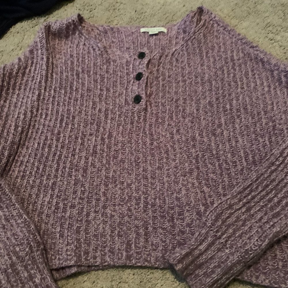 American Eagle Cropped Sweater